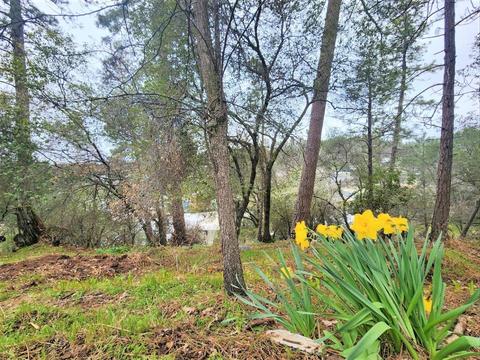 3042 Meridian Ct, Placerville, CA 95667 photo 21