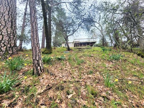 3042 Meridian Ct, Placerville, CA 95667 photo 23