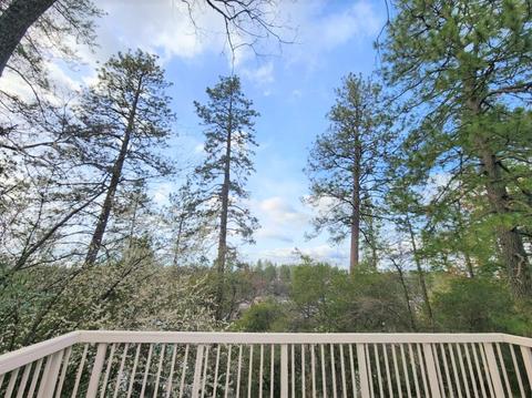 3042 Meridian Ct, Placerville, CA 95667 photo 20