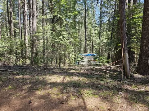 12227 Mile Dr, Nevada City, CA 95959