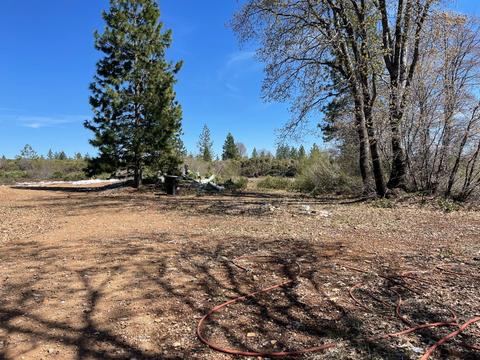 34255 Foresthill Rd, Foresthill, CA 95631 photo 2