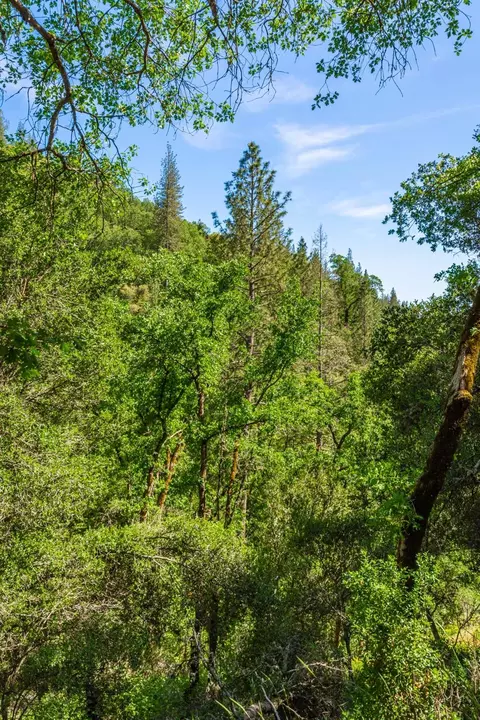 16111 Clover Valley Rd, Grass Valley, CA 95949 photo 62