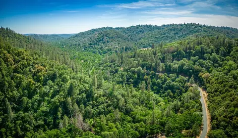 16111 Clover Valley Rd, Grass Valley, CA 95949 photo 31