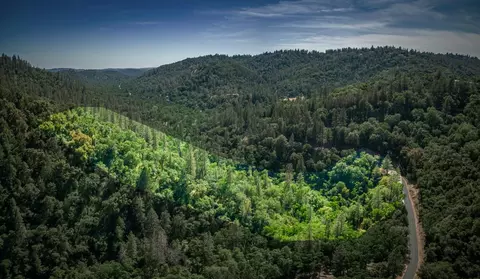 16111 Clover Valley Rd, Grass Valley, CA 95949 photo 3