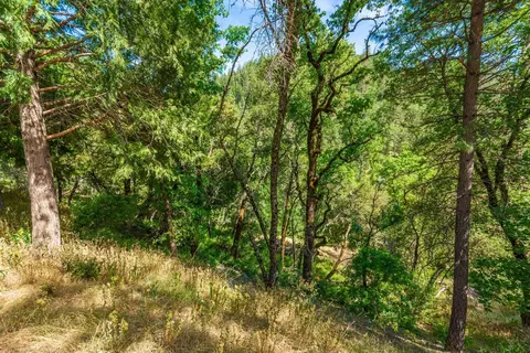 16111 Clover Valley Rd, Grass Valley, CA 95949 photo 67