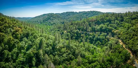 16111 Clover Valley Rd, Grass Valley, CA 95949 photo 29