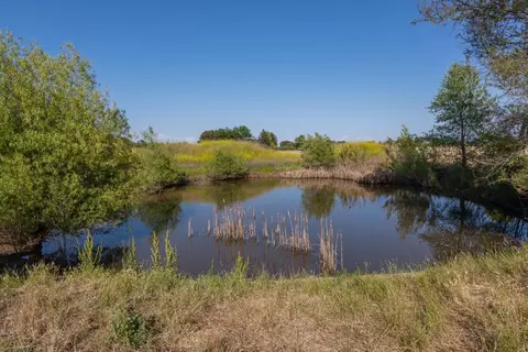 24532 County Road 95, Davis, CA 95616 photo 59