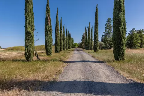 24532 County Road 95, Davis, CA 95616 photo 60