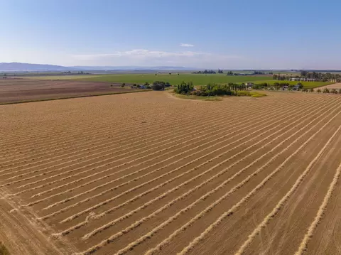 24532 County Road 95, Davis, CA 95616 photo 71