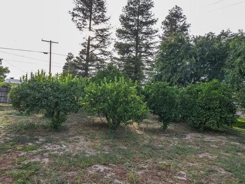 1812 Golf Rd, Turlock, CA 95380 photo 82