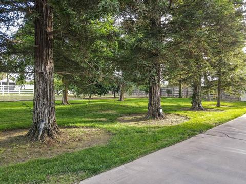 1812 Golf Rd, Turlock, CA 95380 photo 81