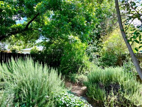940 Laurel Ave, Gustine, CA 95322 photo 36