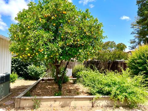 940 Laurel Ave, Gustine, CA 95322 photo 34