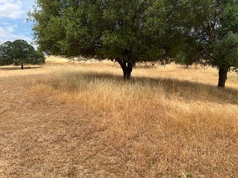 4442 Little John Rd, Copperopolis, CA 95228 photo 5