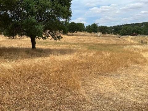 4442 Little John Rd, Copperopolis, CA 95228 photo 4