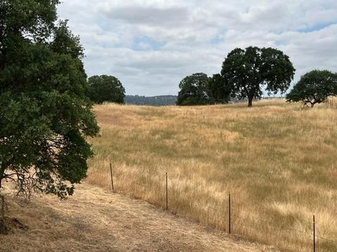 4442 Little John Rd, Copperopolis, CA 95228 photo 3