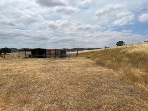 4442 Little John Rd, Copperopolis, CA 95228 photo 8