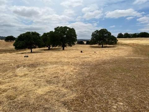 4442 Little John Rd, Copperopolis, CA 95228 photo 6