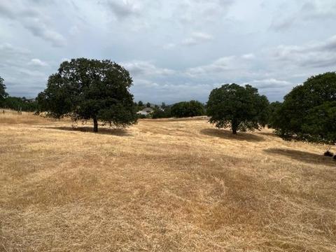 4442 Little John Rd, Copperopolis, CA 95228 photo 12