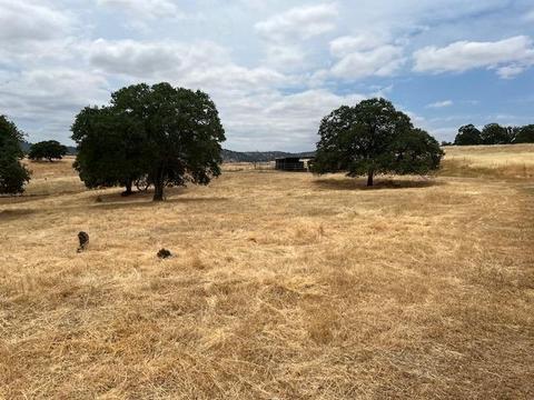 4442 Little John Rd, Copperopolis, CA 95228 photo 7