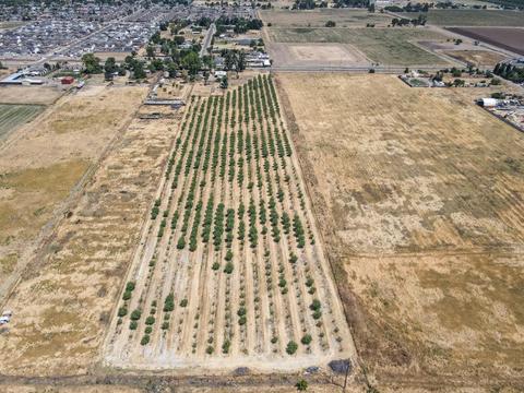 504 E Mission Ave, Merced, CA 95341 photo 4