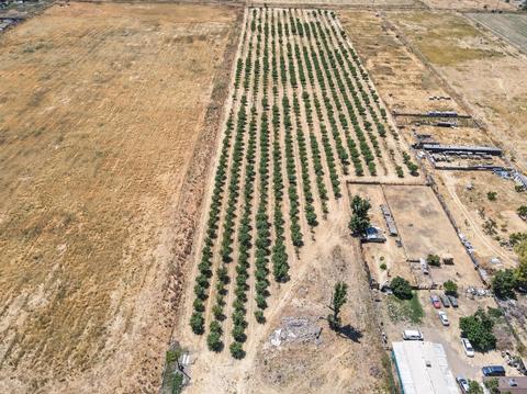 504 E Mission Ave, Merced, CA 95341 photo 3