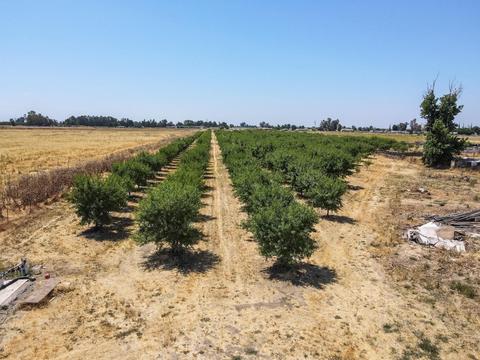 504 E Mission Ave, Merced, CA 95341 photo 5