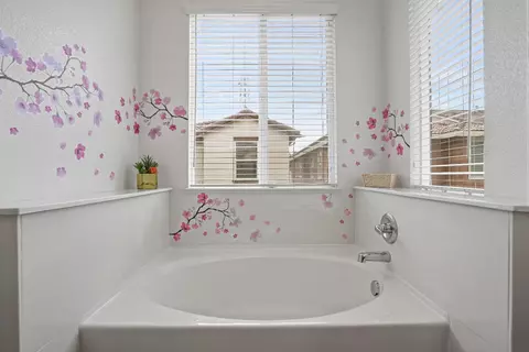 2809 Crested Bobwhite St, Modesto, CA 95355 photo 37