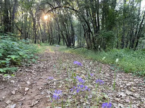 16977 Glass Rd, Nevada City, CA 95959