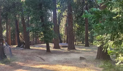 23709 Shake Ridge Rd, Volcano, CA 95689 photo 28