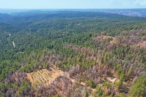1400 Lofty Peak Ln, Georgetown, CA 95634 photo 29