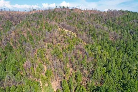 1400 Lofty Peak Ln, Georgetown, CA 95634 photo 24