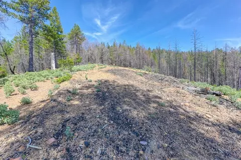 1400 Lofty Peak Ln, Georgetown, CA 95634 photo 22