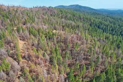 1400 Lofty Peak Ln, Georgetown, CA 95634 photo 25