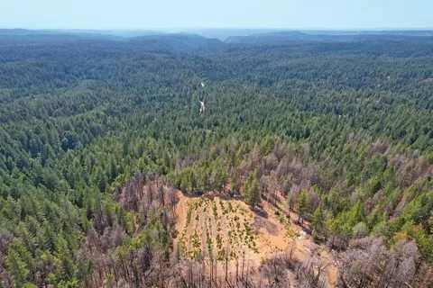 1400 Lofty Peak Ln, Georgetown, CA 95634 photo 9