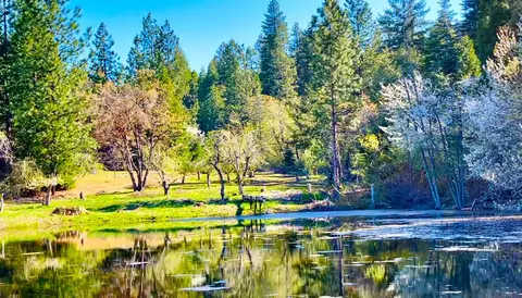 440 Caine Rd, Alta, CA 95701 photo 38