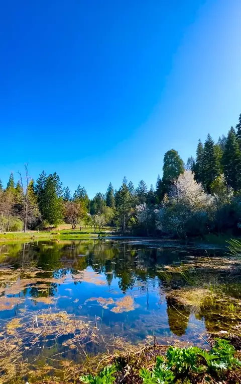 440 Caine Rd, Alta, CA 95701 photo 4