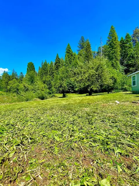 440 Caine Rd, Alta, CA 95701 photo 9
