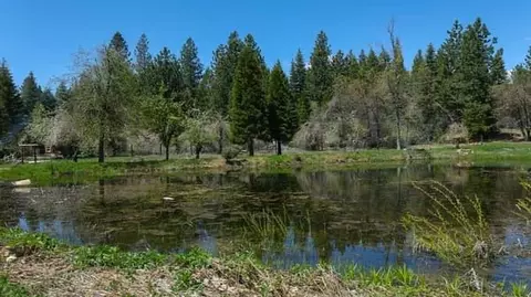 440 Caine Rd, Alta, CA 95701 photo 14