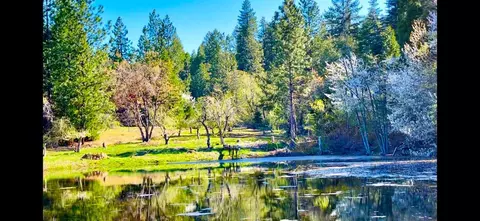 440 Caine Rd, Alta, CA 95701 photo 10