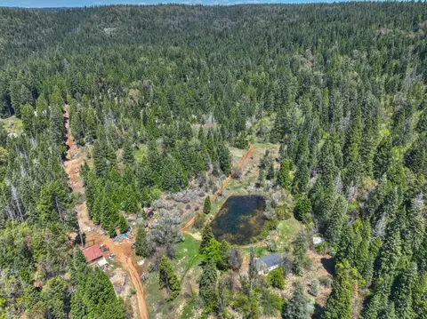 440 Caine Rd, Alta, CA 95701 photo 17