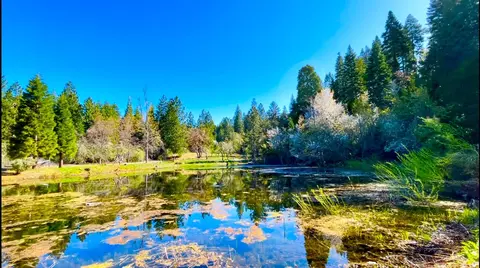 440 Caine Rd, Alta, CA 95701 photo 41