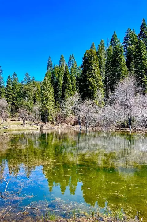 440 Caine Rd, Alta, CA 95701 photo 6