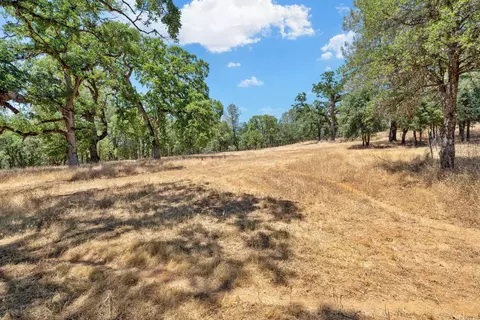 7700 Sheepherder Ridge Rd, Placerville, CA 95667 photo 17