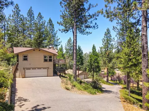 1250 Dallimore Rd, Colfax, CA 95713 photo 13