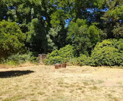 523 Obermeyer Ave, Gridley, CA 95948 photo 45