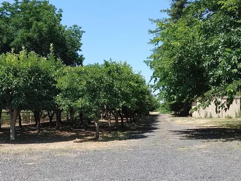 523 Obermeyer Ave, Gridley, CA 95948 photo 59