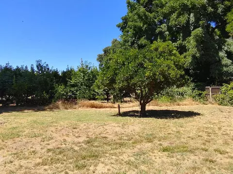 523 Obermeyer Ave, Gridley, CA 95948 photo 46