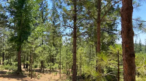 8101 Lakeside Dr, Mountain Ranch, CA 95246 photo 6