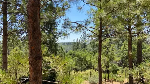 8101 Lakeside Dr, Mountain Ranch, CA 95246 photo 7